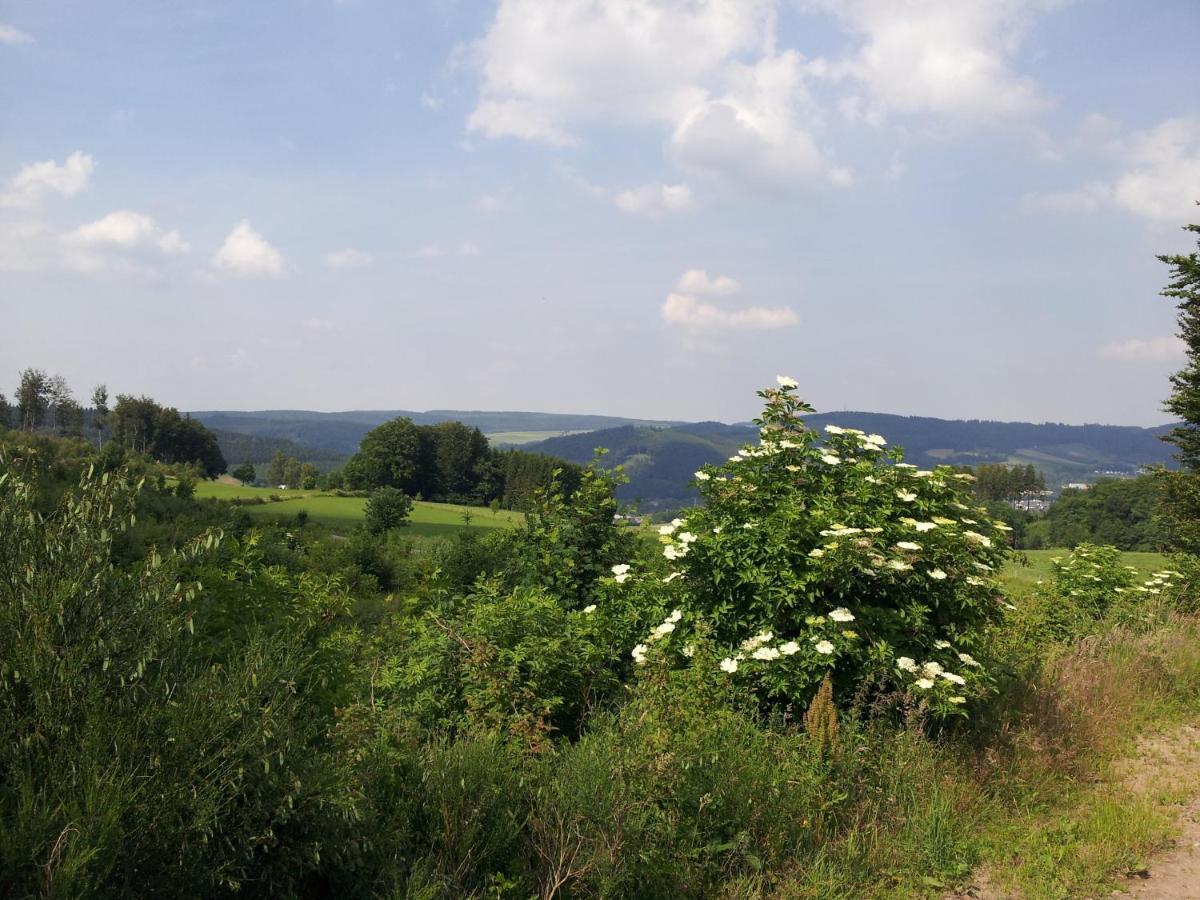 Hotel Bigger Hof - Wirtshaus Platzhirsch Am Jahnplatz اولسبرغ المظهر الخارجي الصورة
